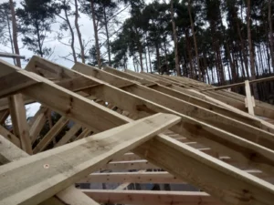 dom parterowy z dachem dwuspadowym 190 m2 Poznań 5