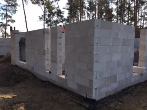 dom parterowy z dachem dwuspadowym 190 m2 Poznań 3