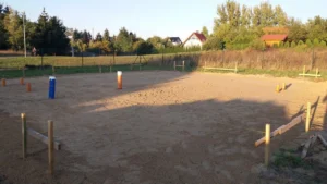 dom z użytkowym poddaszem i dachem dwuspadowym 140 m2 Poznań 9