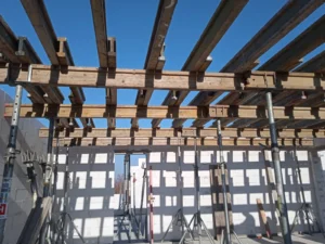 dom z użytkowym poddaszem, dachem dwuspadowym i garażem 240 m2 Łódź