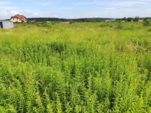 dom parterowy z dachem kopertowym i garażem 170 m2 Poznań